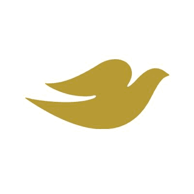 Dove DTC (Unilever)