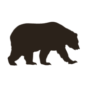 Kodiak Cakes