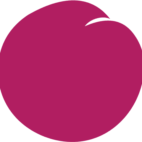 Plum Market