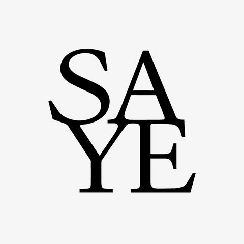 Saye (Save the Youth Enjoy)