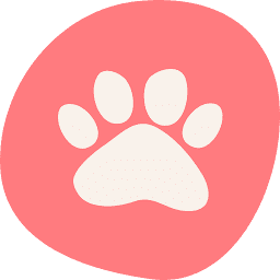 Scratch Pet Food