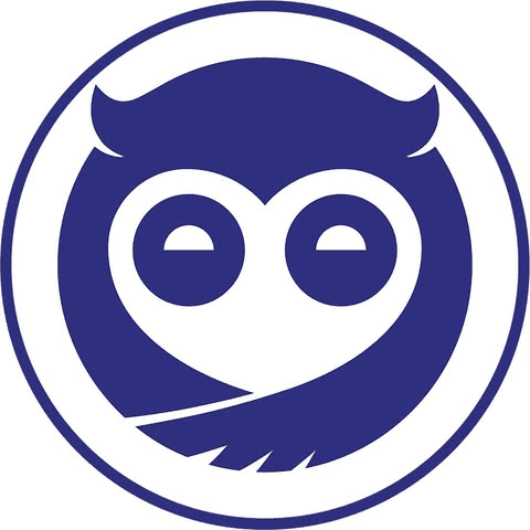 Sleepy Owl