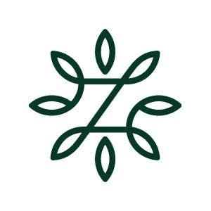 Zinus